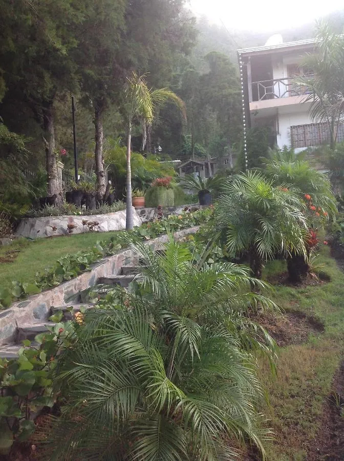 Villa Paloma/ Home/ Office-Remote Office Constanza Dominican Republic