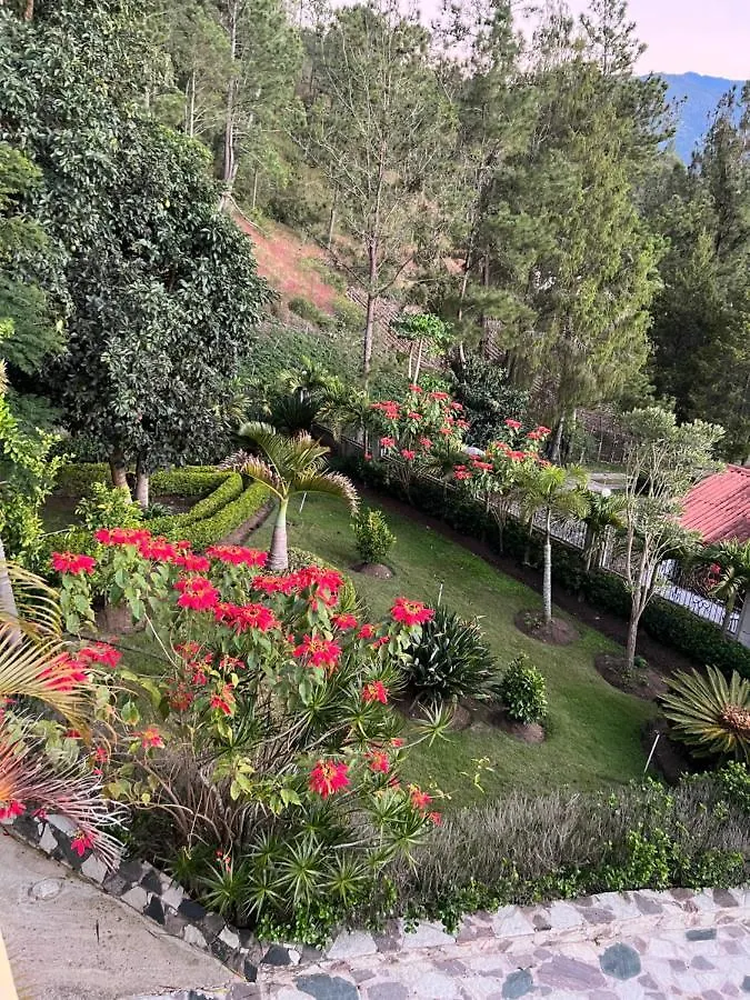 Villa Paloma/ Home/ Office-Remote Office Constanza