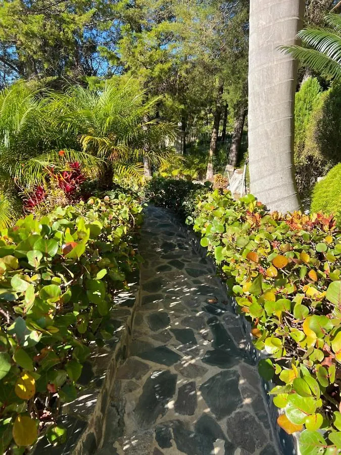 Villa Paloma/ Home/ Office-Remote Office Constanza